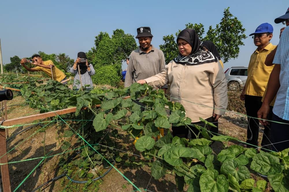 Deputy Rural and Regional Development Minister Datuk Rubiah Wang (two, right) during a visit at the Penang Regional Development Authority (Perda), today. - Photo by Bernama