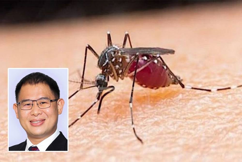 State Health and Unity Exco Ling Tian Soon said a total of 7,776 dengue cases have been reported in Johor from the beginning of the year until the end of September.