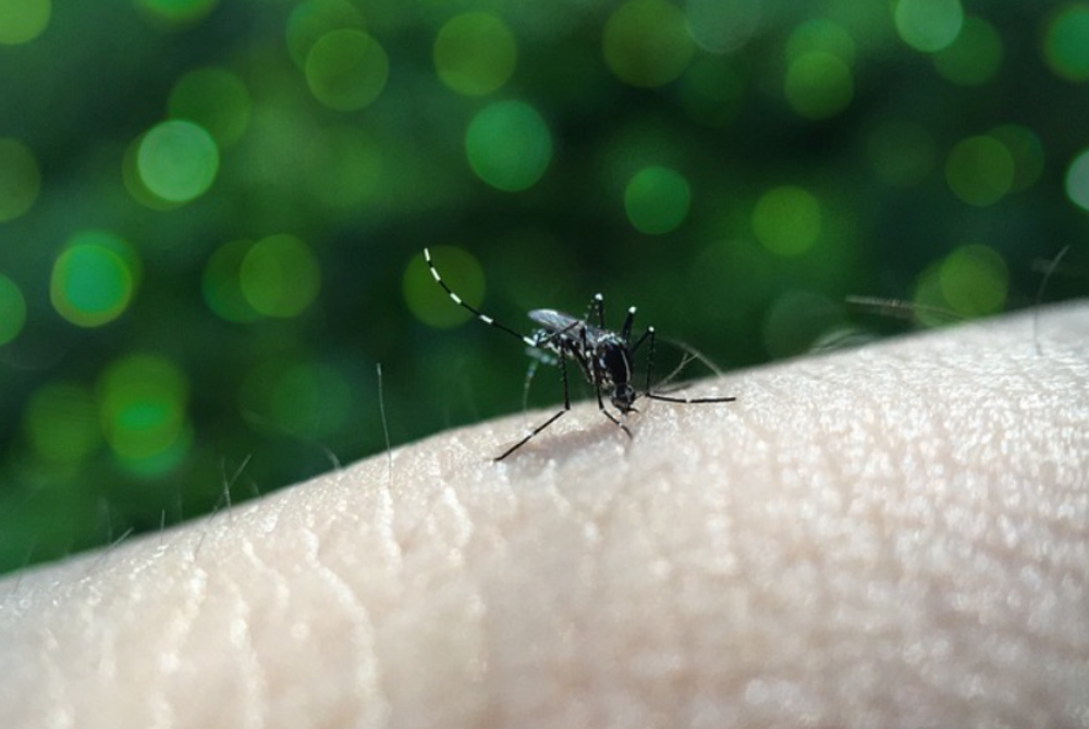 Image for illustrative purposes only. – FILE PIX