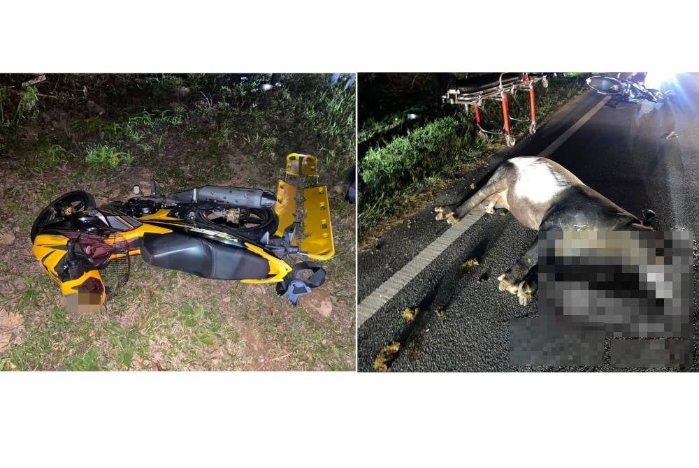 The motorcycle involved in an accident with a tapir at Kilometer 79 of Jalan Kota Tinggi - Kluang near Taman Sri Impian Kluang last night.