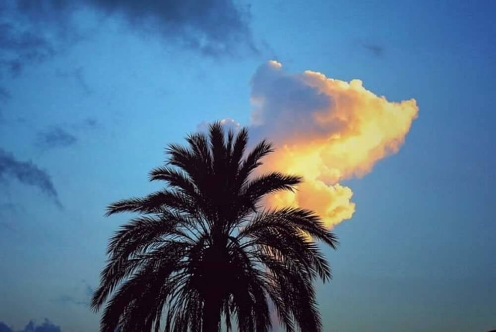 Image for illustrative purposes only. - FILE PIX