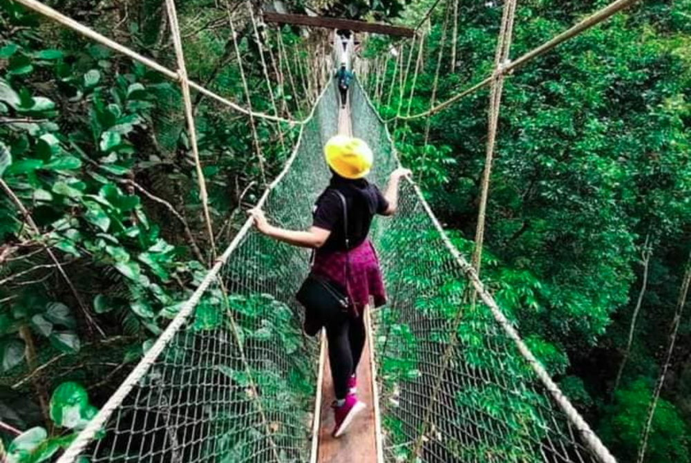 Image for illustrative purposes only. - Facebook