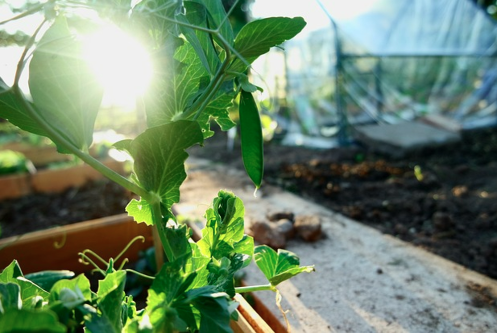 Image for illustrative purposes only. - FILE PIX