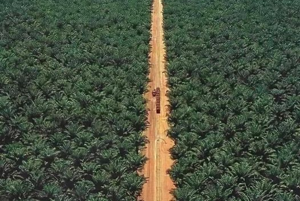 Image for illustrative purposes only. - Facebook