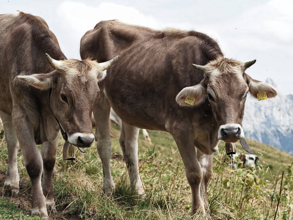 Picture for illustrative purposes - FILE PIX 