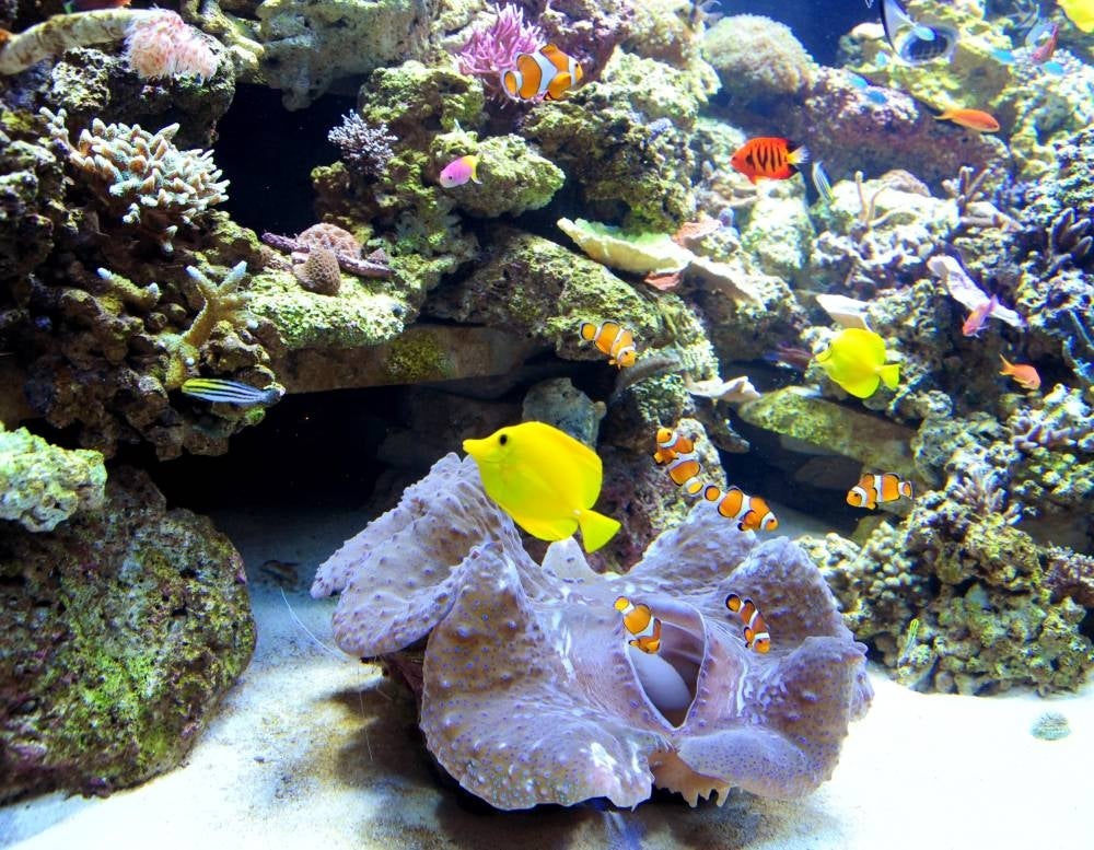 Photo for illustration purposes only. - AFP FILE PIX