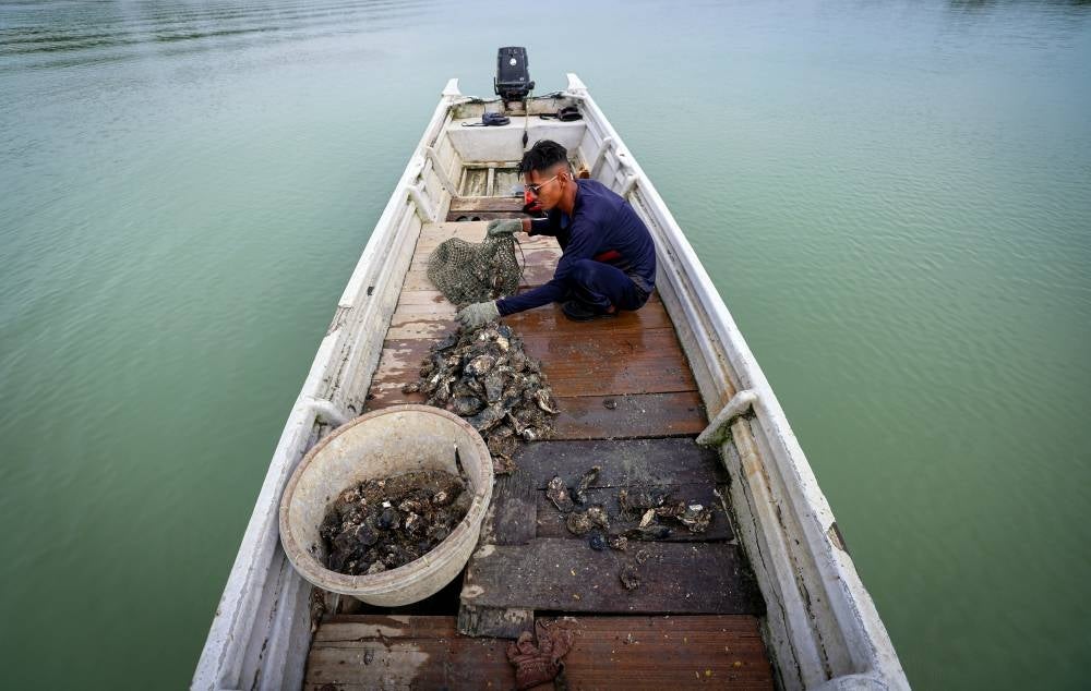 Catch of the day - BERNAMA
