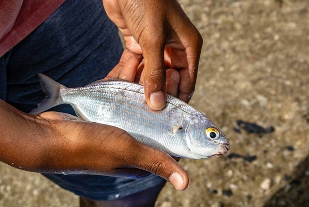 Image for illustrative purposes only. – FILE PIX