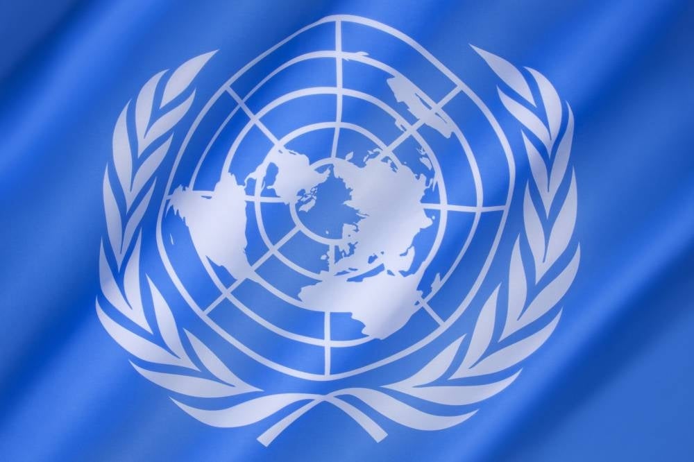 UN Flag