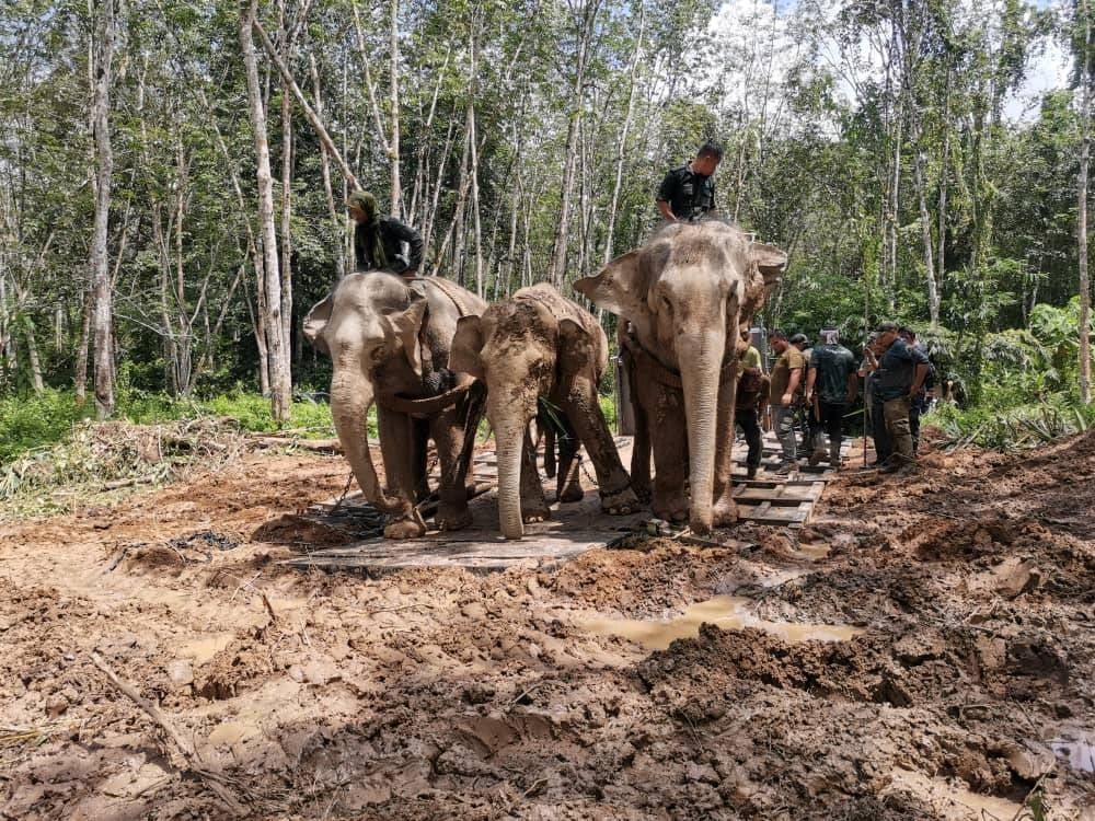 Picture for illustrative purposes - FILE PIX