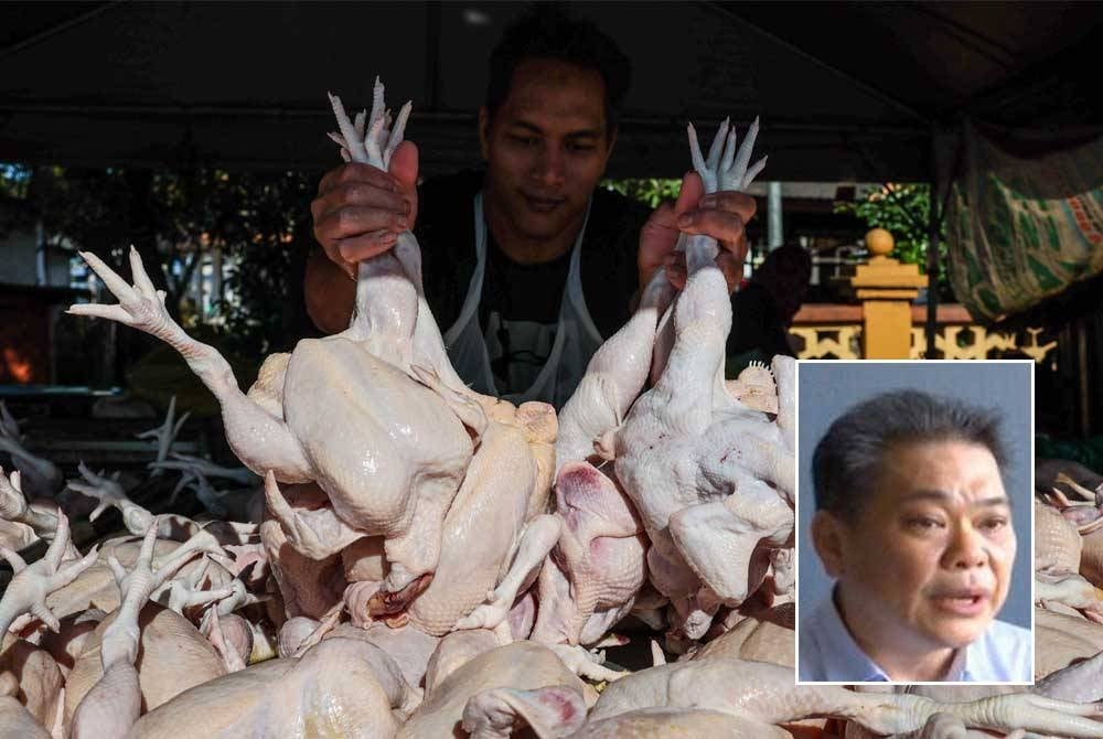 Vendor Mohd Fadlysam Daud, 39, arranging the fresh chicken to be sold at RM8.29 per kilogram. (Smaller image, Ng)