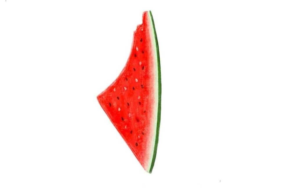 Digital illustration by Sami Boukhari (courtesy of artist)