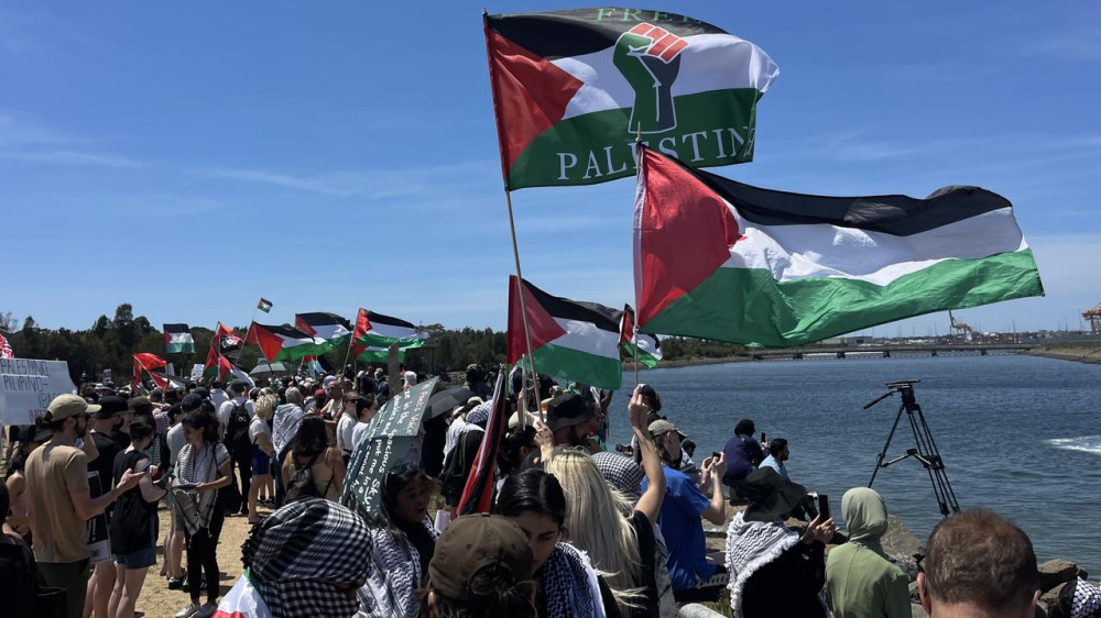 Crowds gathered at Port Botany to protest the Israeli-owned ship. (Photo by NCA NewsWire/Dylan Robinson)