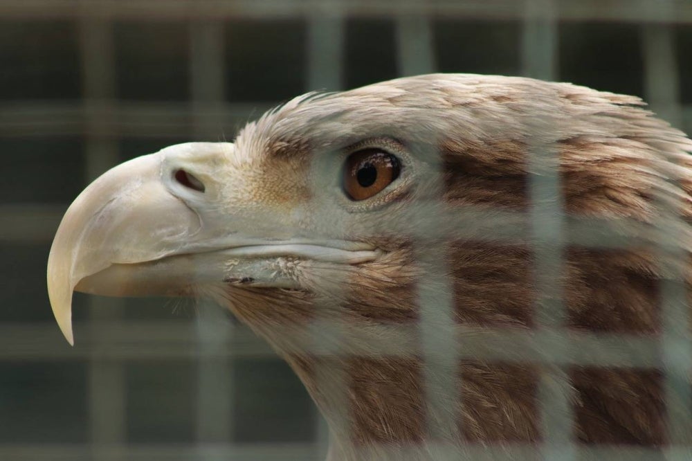 Picture for illustrative purposes - FILE PIX 