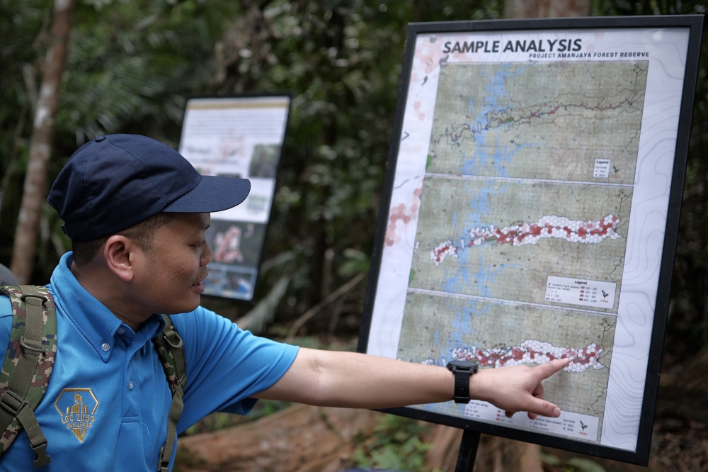 Nik Nazmi exploring Royal Belum State Park after the World Tiger Day event. (Nik Nazmi FB)
