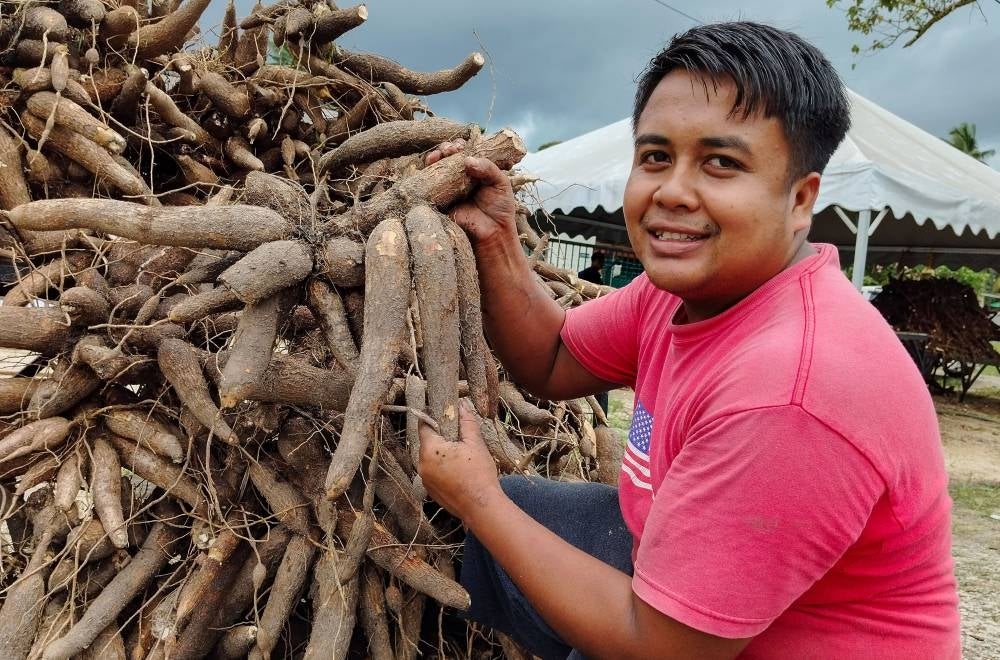 Mohd Hazim Zulkifli, 26, showing the Tapioca crop sold at his stall when met by Bernama in Kampung Gaal here - AFP
