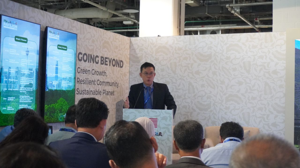 NERCC secretary-general Dr Ching Thoo Kim (Photo by Ushar Daniele)