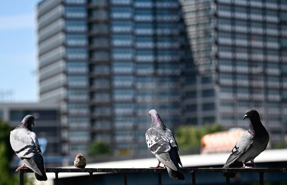 Image for illustrative purposes only. Photo by Tobias Schwarz/AFP