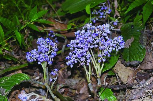 Photo: X / @ChinaScience