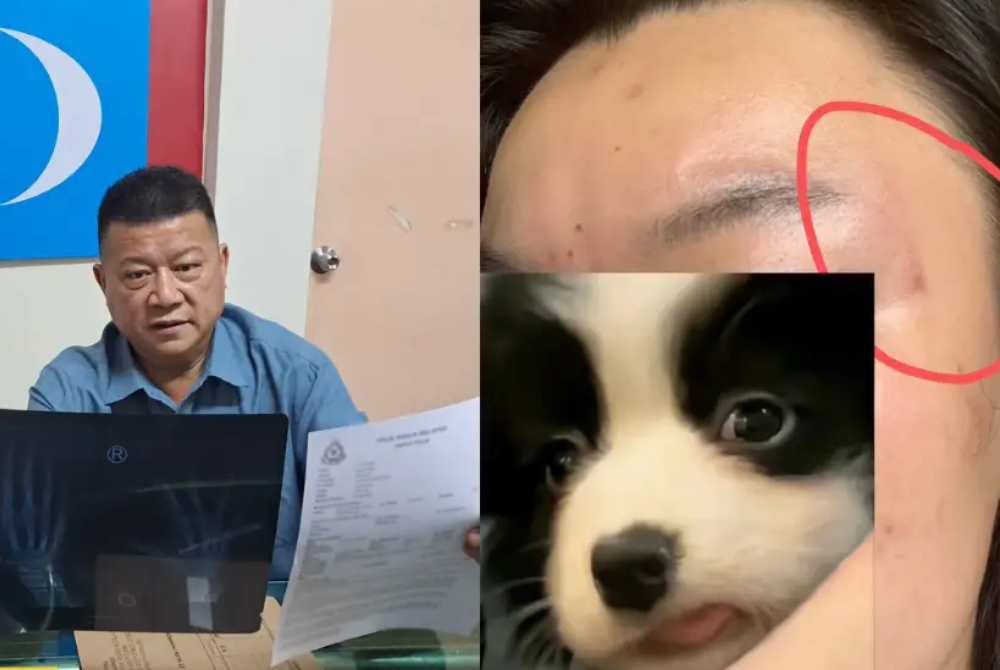 Photos from China Press.