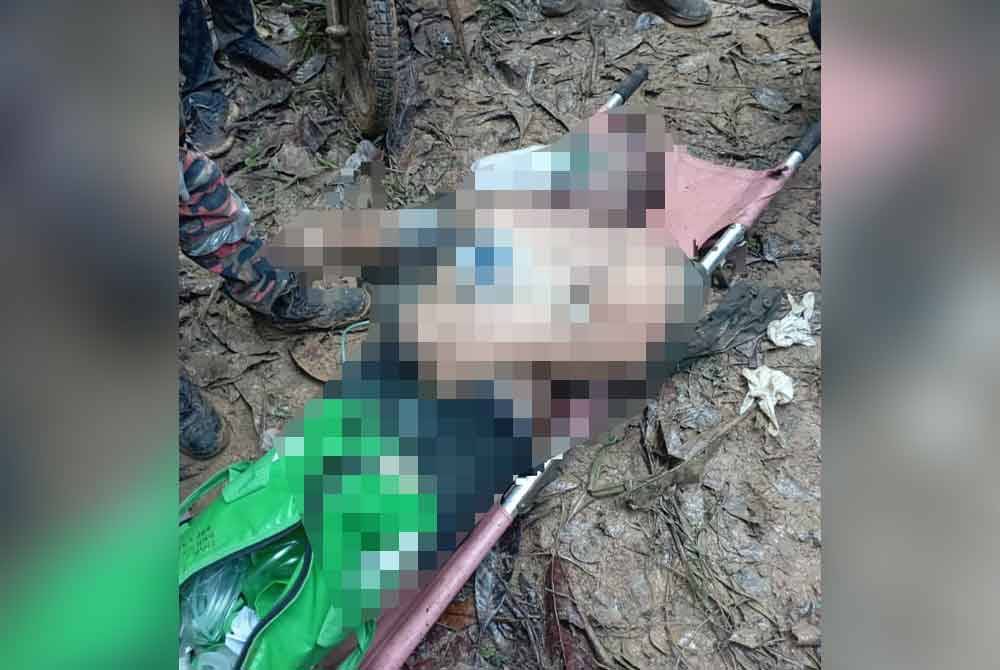 A man died after being stung by ground wasps.