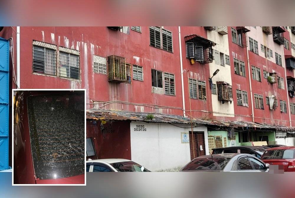 Garbage has accumulated on the zinc roofing in the vicinity of Block 2 Flats, Desa Mentari, Petaling Jaya, illustrating the impact of debris thrown from upper levels, as evidenced by the damage caused to Maziah's vehicle.