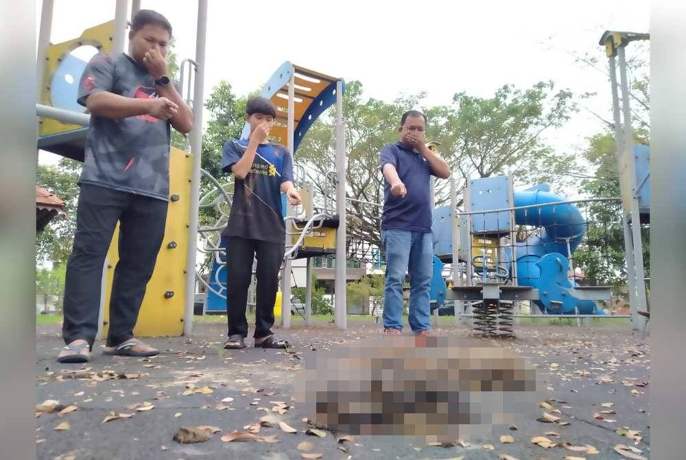 Frustrated residents endure cattle menace. - Photo by Sinar