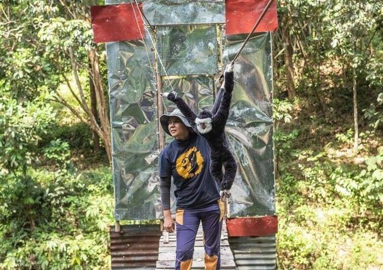 Founder and president of the Gibbon Conservation Society Mariani Ramli. - Photo: FACEBOOK / BAM ARROGANCIA