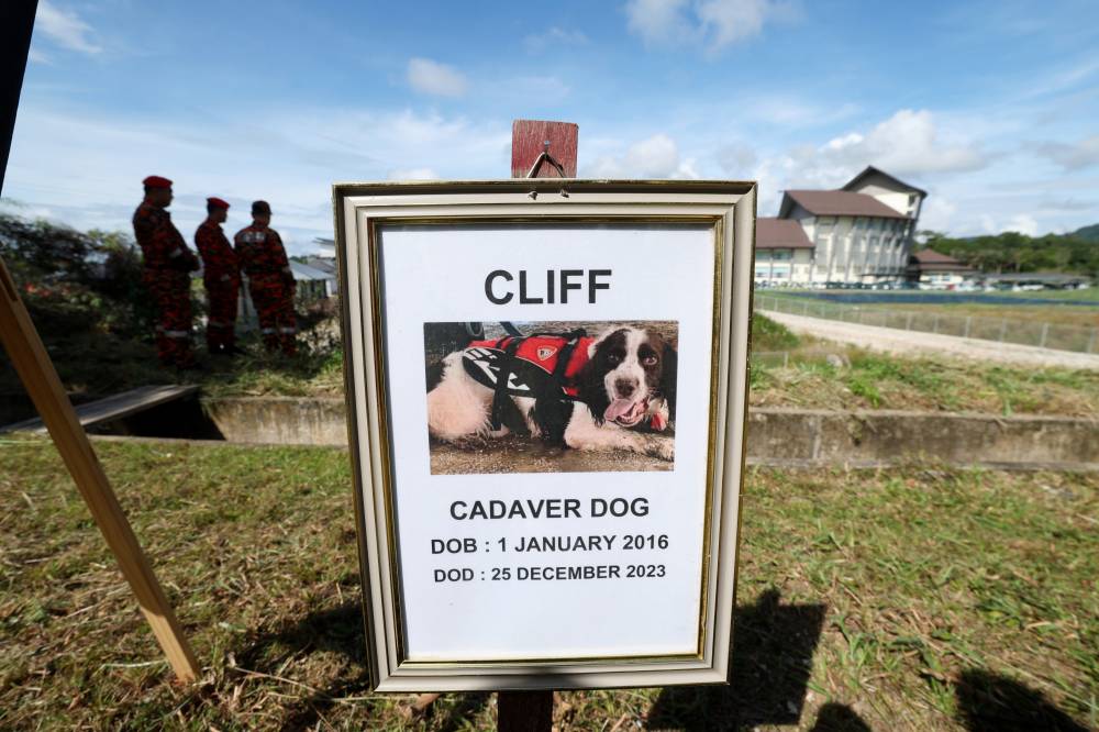 The burial of 'Cliff' at Serian Fire and Rescue Department, today. Photo by Bernama