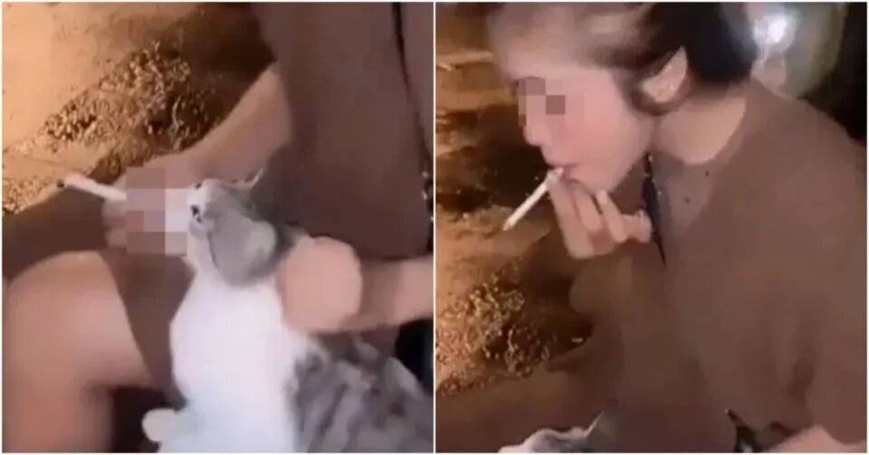 A screenshot from the video posted on X.