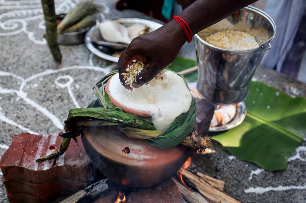 Far from being a mere religious event, Pongal embodies a joyous celebration of the farmer's life, agriculture, and holds deep, hidden meanings. Photo by Bernama