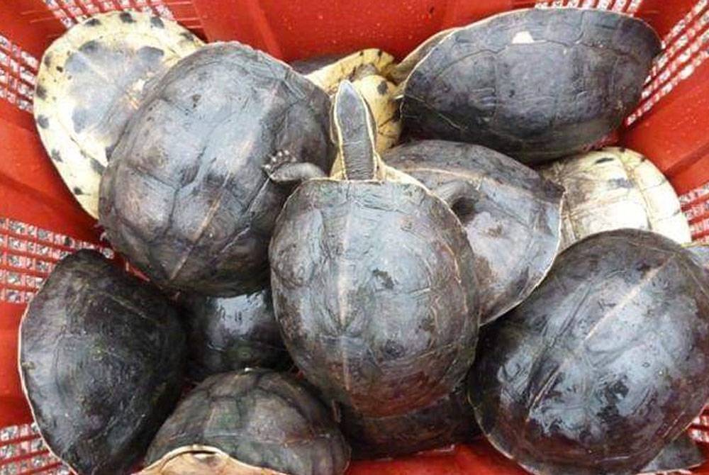 Pix for illustration purpose only. - FILE PIX