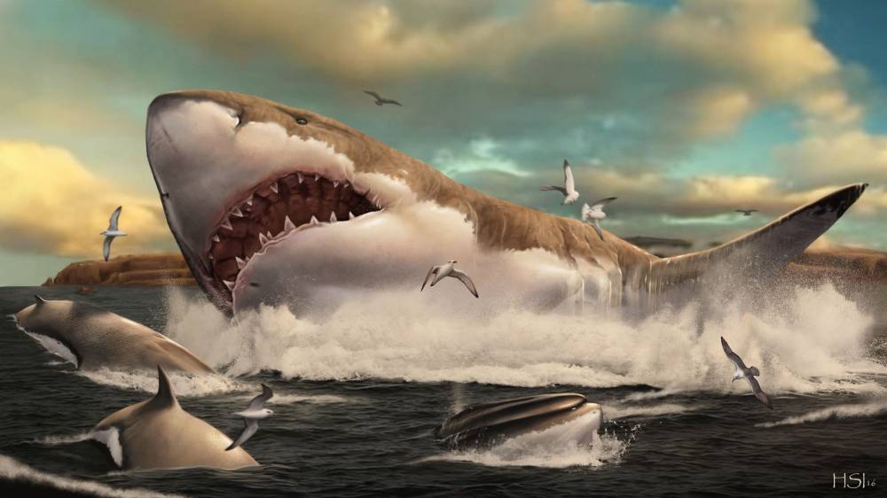 This handout picture released by Metazoa Studio on November 25, 2020, shows an artist's impression of the prehistoric shark Otodus megalodon. - Photo by AFP