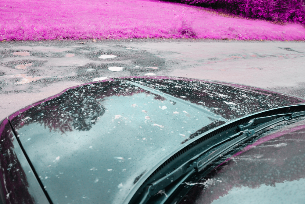 Photo for illustration purpose only. - Edited via Canva