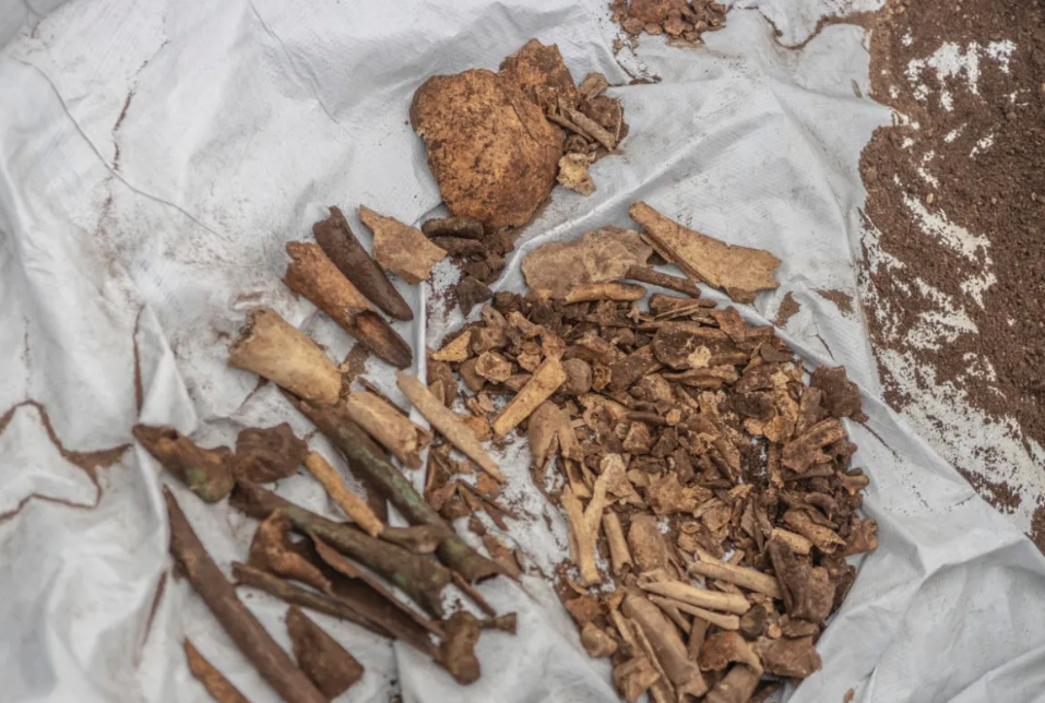 Human remains of victims of the 1994 Rwandan genocide found in Ngoma. - Photo by AFP