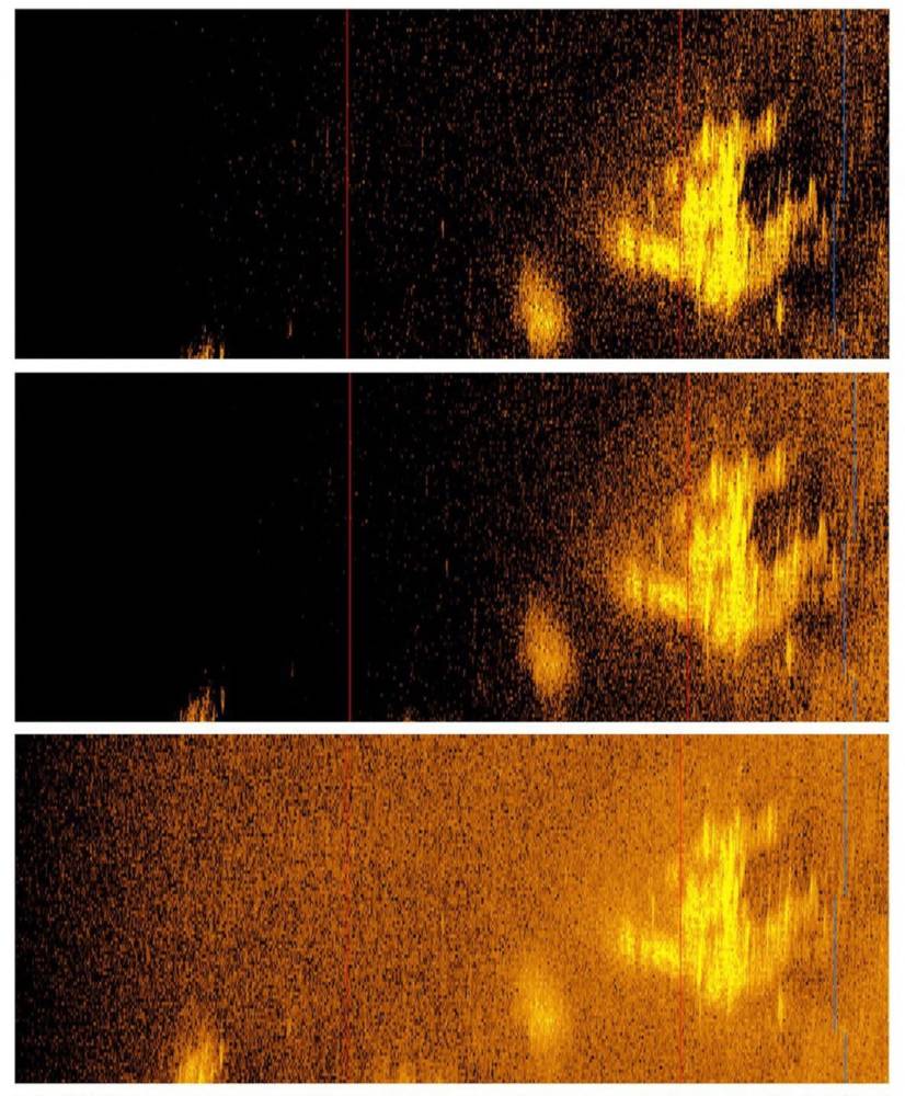 This handout sonar image courtesy of Deep Sea Vision released January 29, 2024, shows a a plane shaped object believed to be Amelia Earhart痴 Lockheed 10-E Electra resting about 16,000 feet (4875 meters) on the Pacific ocean floor. Photo by Deep Sea Vision/AFP