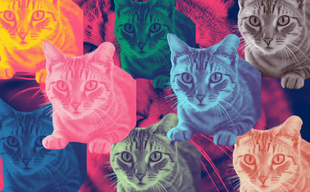 Photo for illustration purpose only - Pix by Sinar