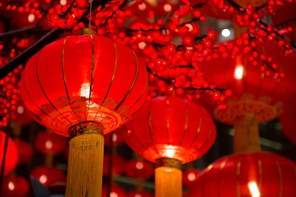  In the heart of winter, a vibrant burst of red emerges across cities and towns, signaling the arrival of the most anticipated and celebrated festival in the Chinese calendar – the Chinese New Year.