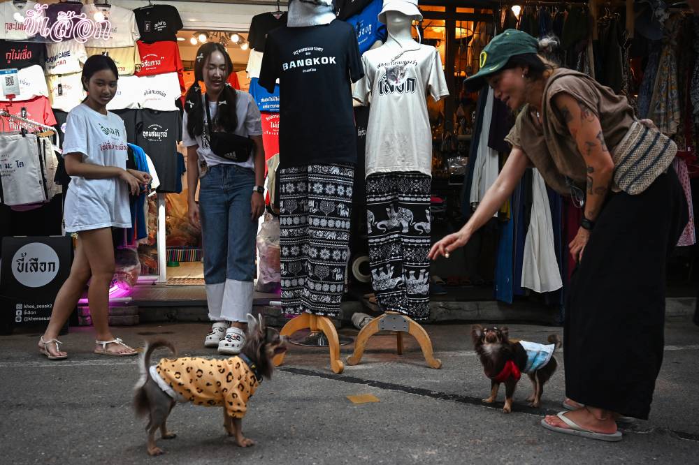 This photo taken on Oct 8, 2023 shows elephant pants for sale in Chatuchak Weekend Market in Bangkok. - (Photo by LILLIAN SUWANRUMPHA / AFP)