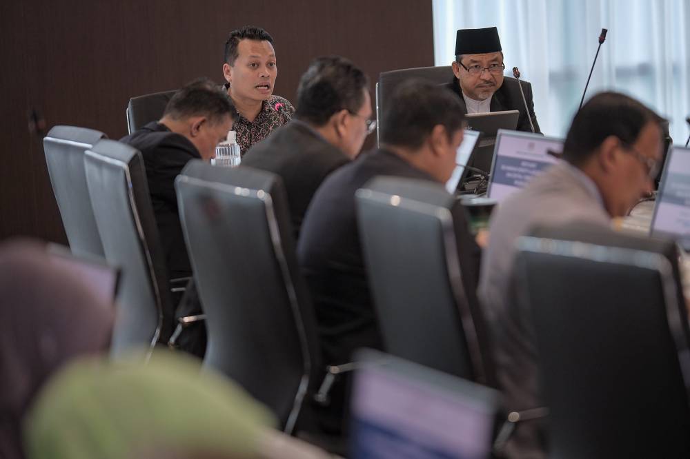 Nik Nazmi described his ministry's division allows the government to address climate change and environmental sustainability comprehensively and equitably. - Photo credit: Nik Nazmi FB