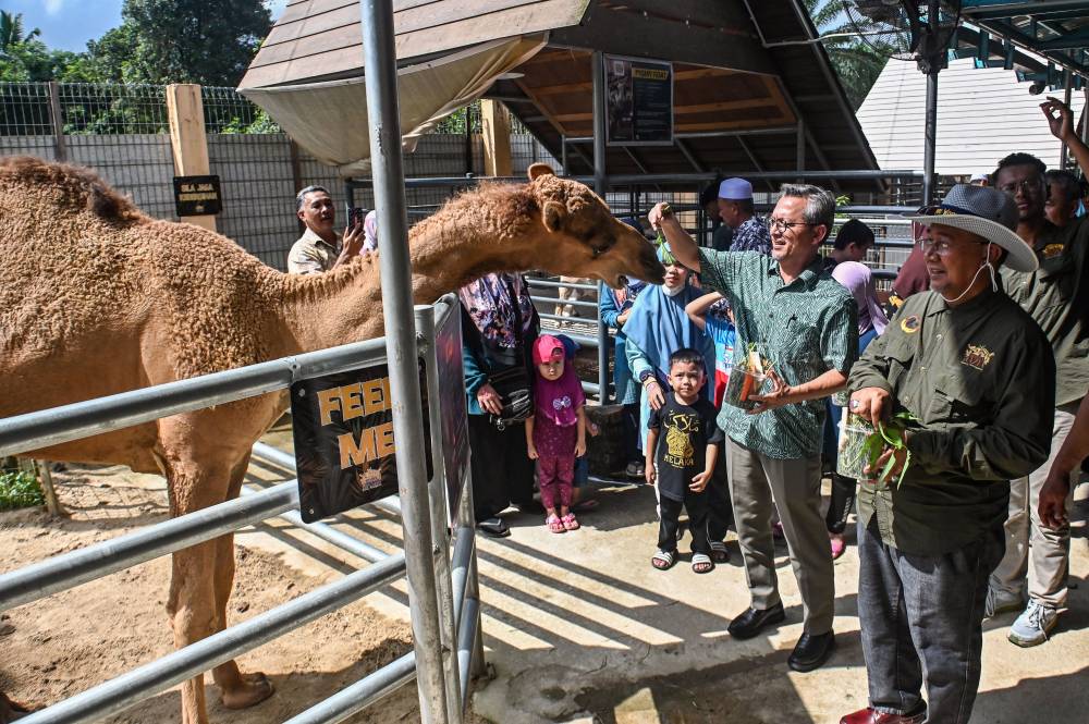 Launch of the Rimba Razia Petting Zoo recently. Photo by Bernama