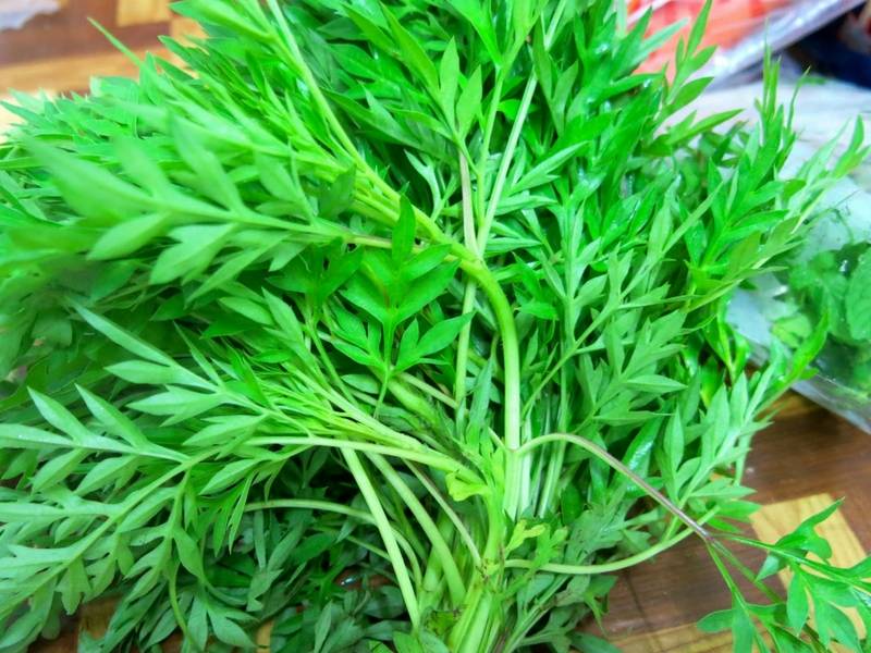 A study by a group of researchers from Universiti Kebangsaan Malaysia (UKM) has found that eating ulam raja (literally called king’s salad) or scientifically known as Cosmos caudatus can help prevent dementia at an early stage. - Photo by Sinar