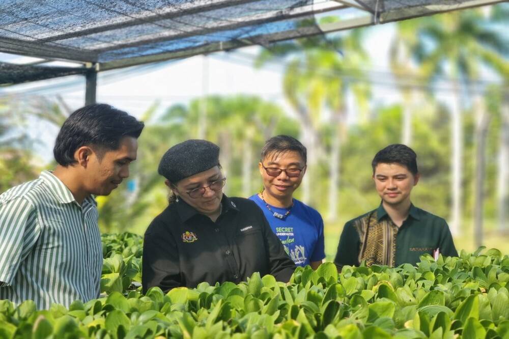 Deputy Economy Minister Datuk Hanifah Hajar Taib (second, left) inspecting the AgriData collaboration farm project in Sabah.