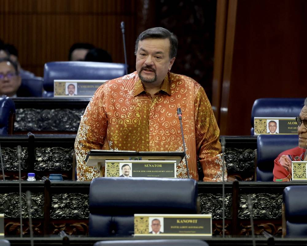 Finance Minister II Datuk Seri Amir Hamzah Azizan during the question and answer session in the Dewan Rakyat today. - Photo by Bernama