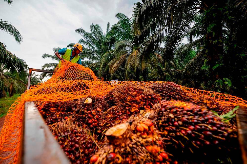 Photo for illustration purpose only. - FILE PIX by Bernama