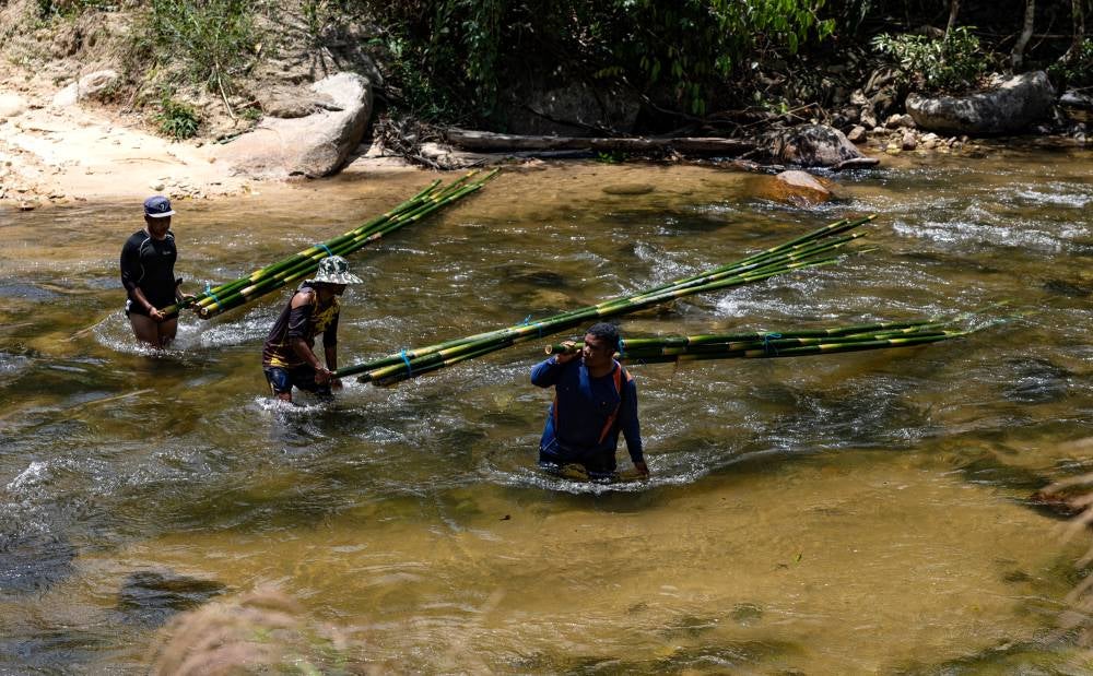 Jaminan, 36, has spent the last four years wandering through the forests seeking out the best types of bamboo. Photo by Bernama