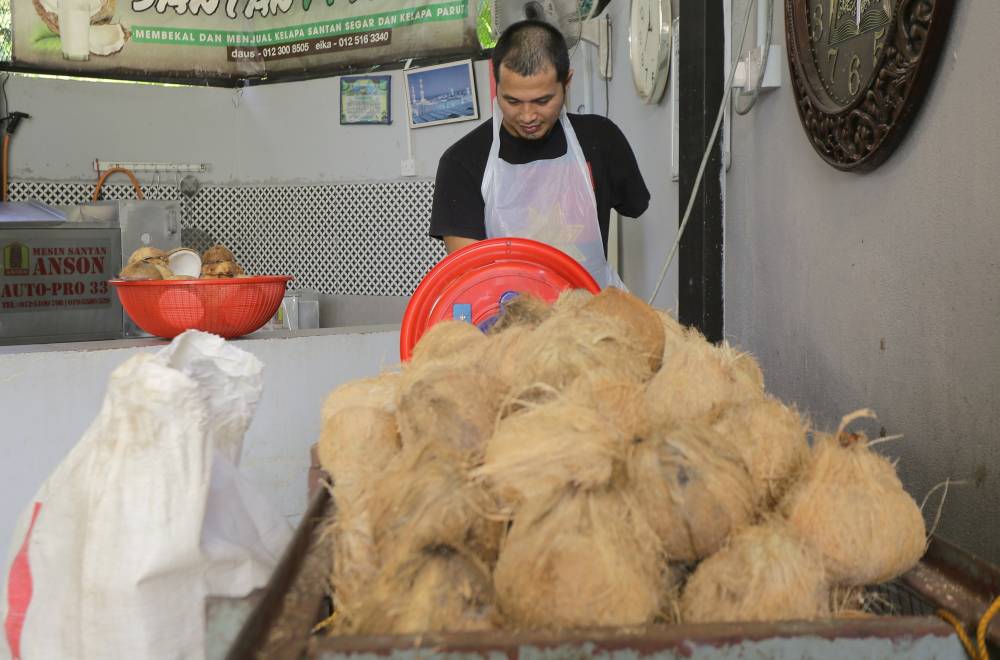 Owner of Santan M'darat Mohd Firdaus Ismail, 40, grating the coconuts when met in Kampung Sungai Rokam, Ipoh. - Photo by Bernama