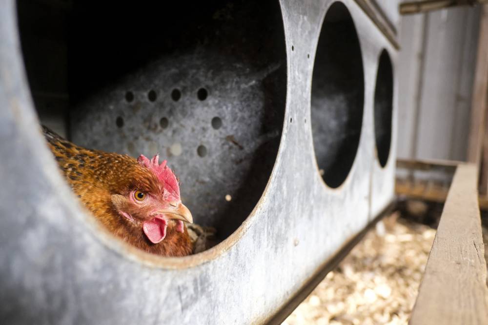 Photo for illustration purposes only. - Photo by AFP