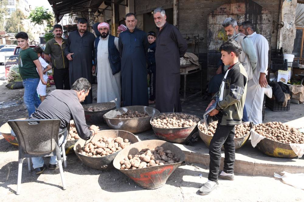 A booth selling truffles is seen in the central province of Hama, Syria, April 17, 2024. - Photo by Xinhua