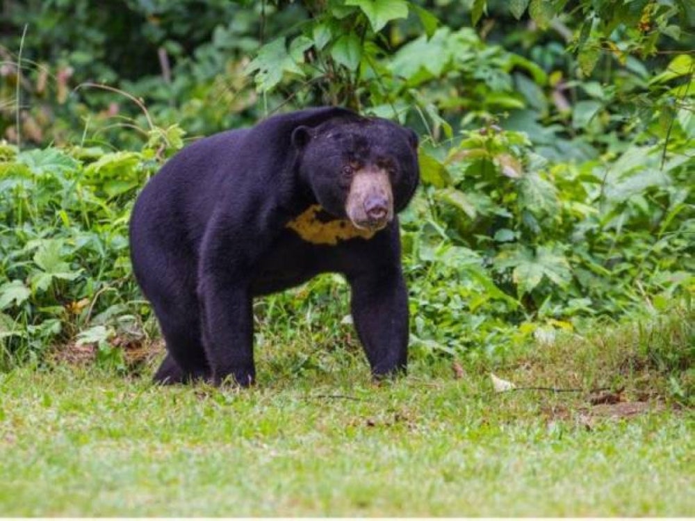 Photo for illustration purpose only. - File photo